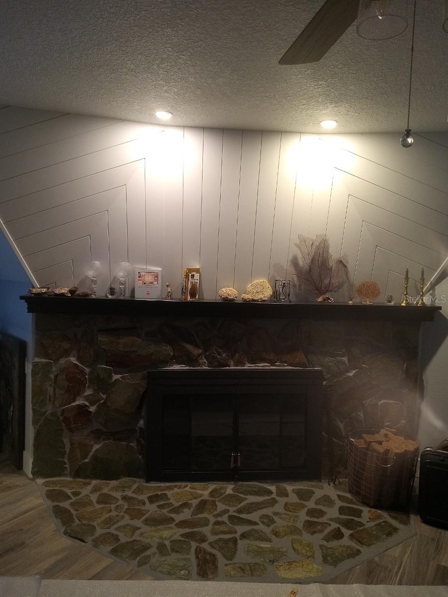 10424 LYONS AVE, LITHIA, FL, 33547