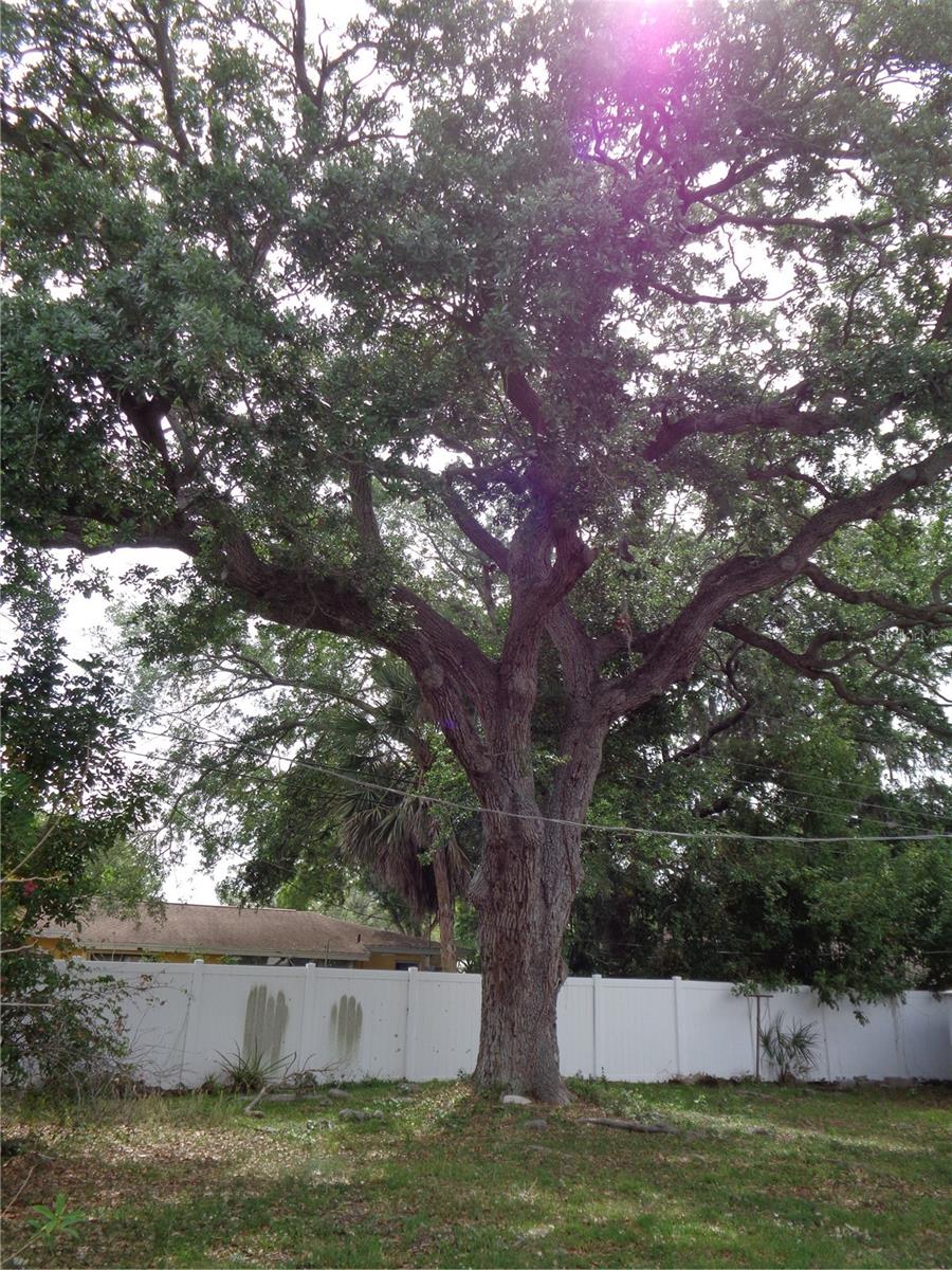 1906 DUDLEY PL, SARASOTA, FL, 34235