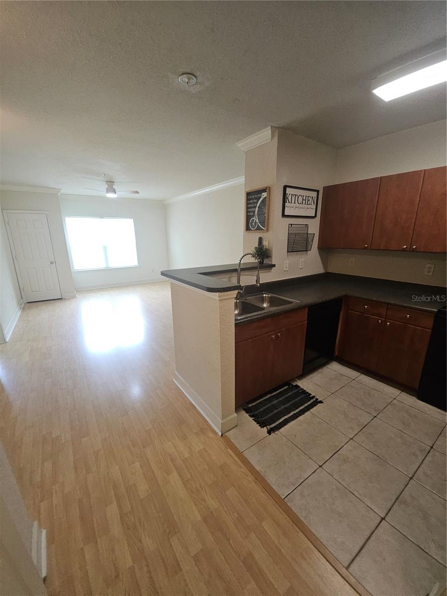 202 E SOUTH ST #4049, ORLANDO, FL, 32801