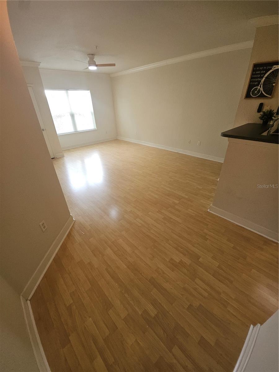 202 E SOUTH ST #4049, ORLANDO, FL, 32801