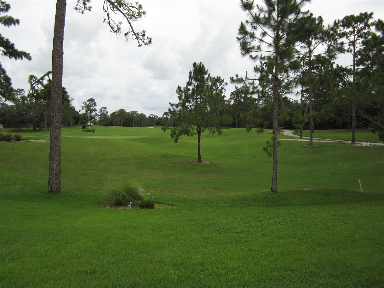 1615 TIMBER PINES CT, DELAND, FL, 32724