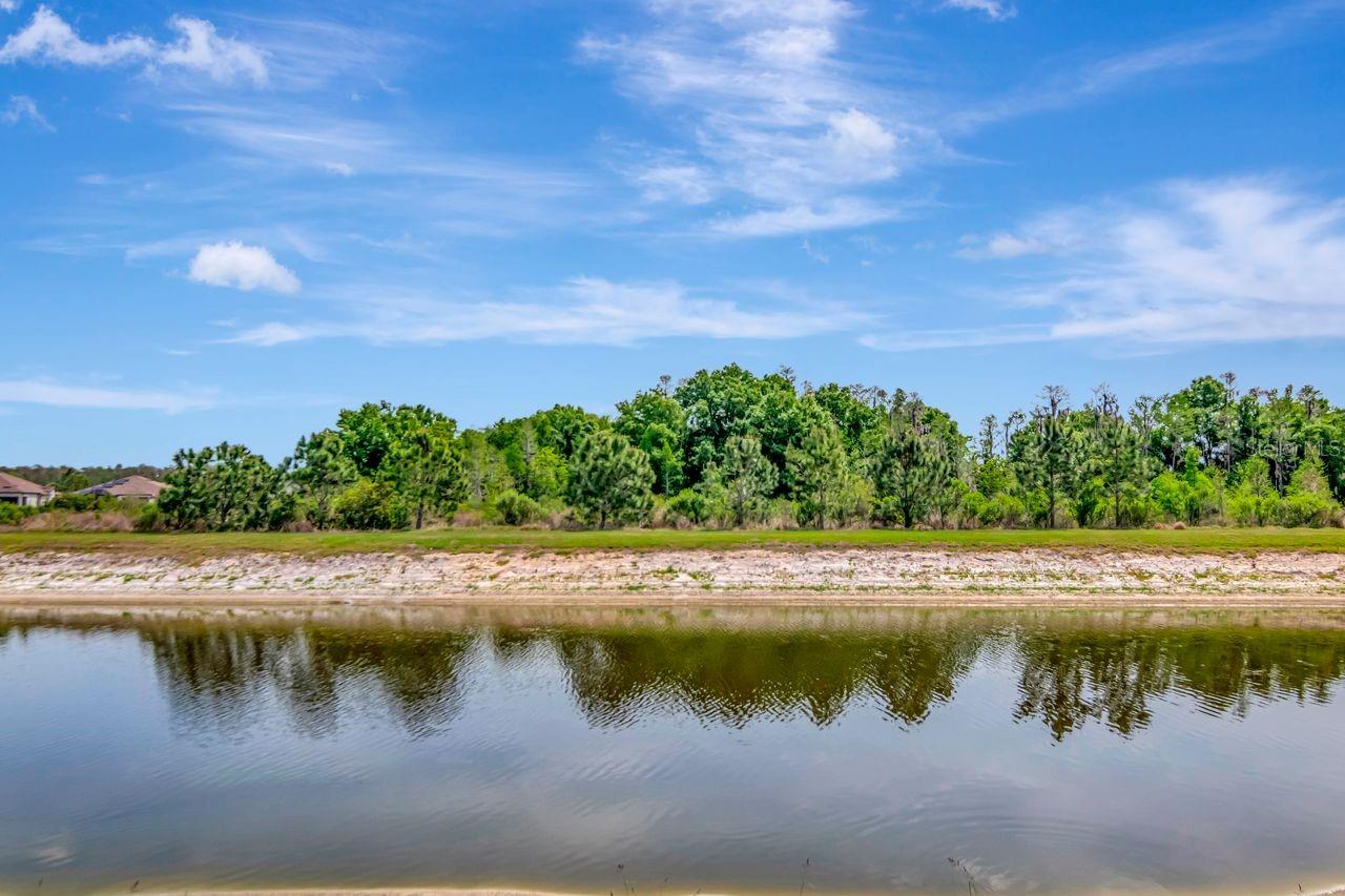 Pond and Conservation view from Lanai