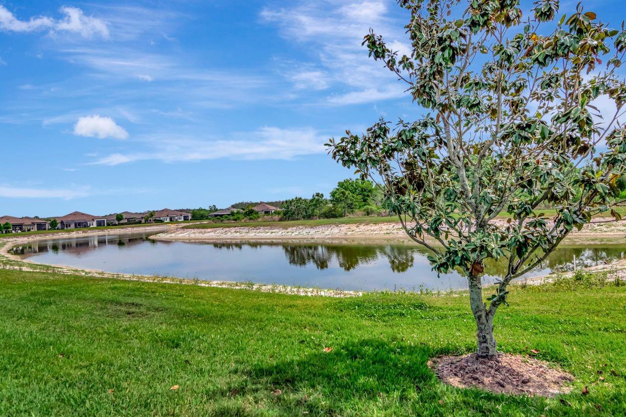 Pond and Conservation view