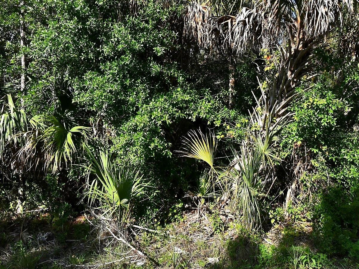 MONTCALM AVE, NORTH PORT, FL, 34291
