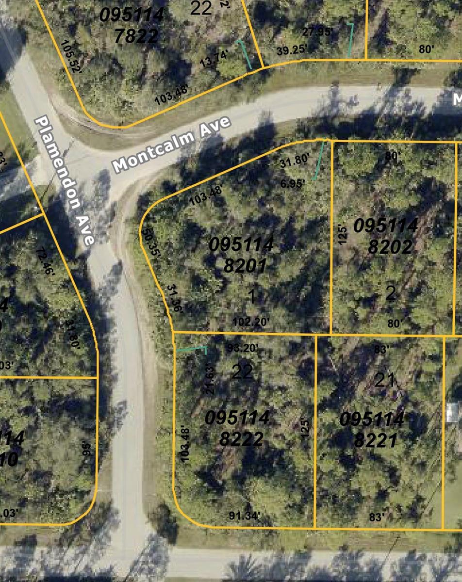 MONTCALM AVE, NORTH PORT, FL, 34291