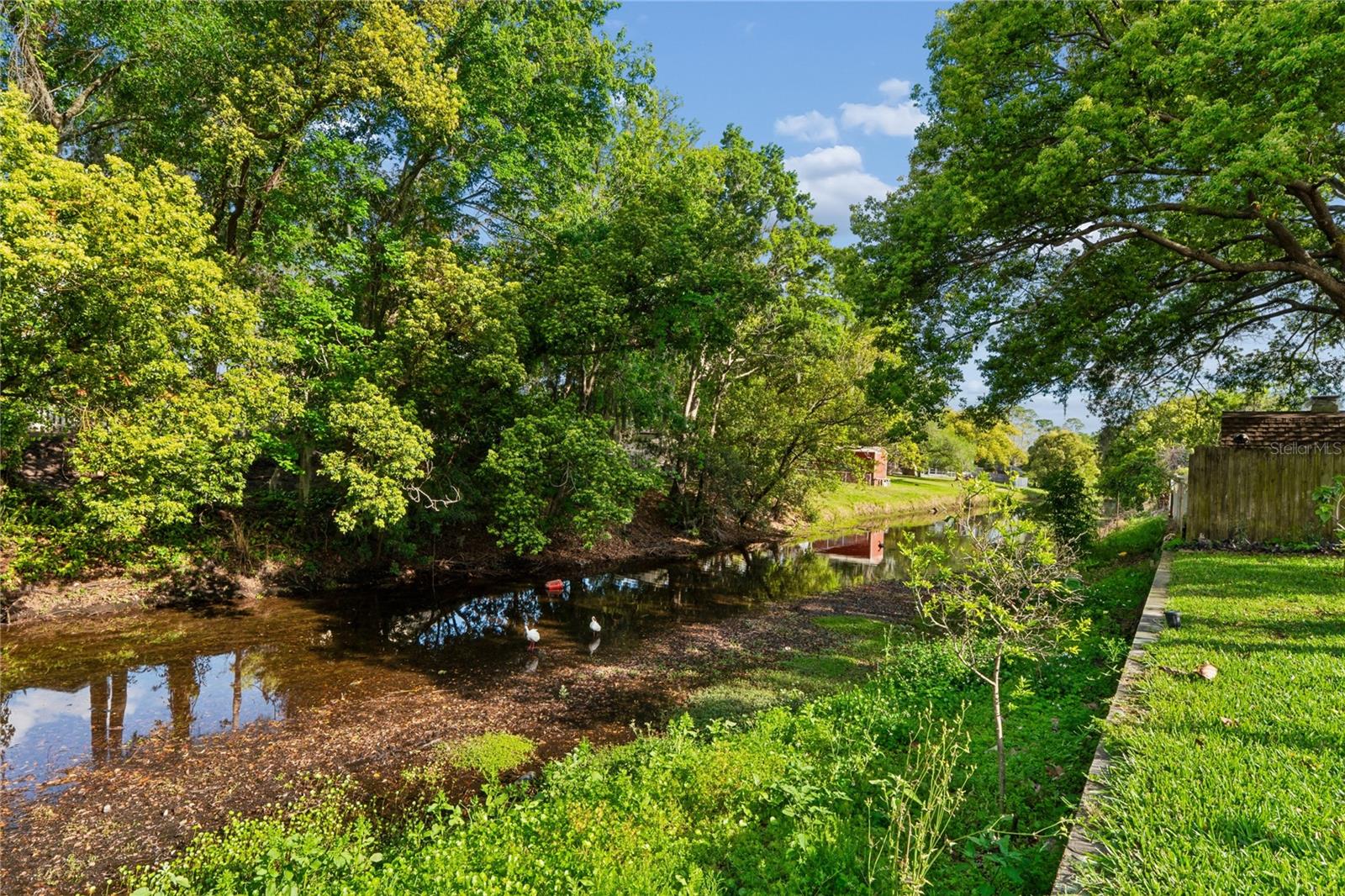 3122 BAHIA AVE, HOLIDAY, FL, 34690