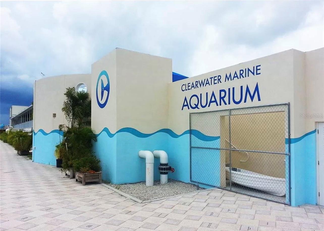 661 POINSETTIA AVE #104, CLEARWATER BEACH, FL, 33767
