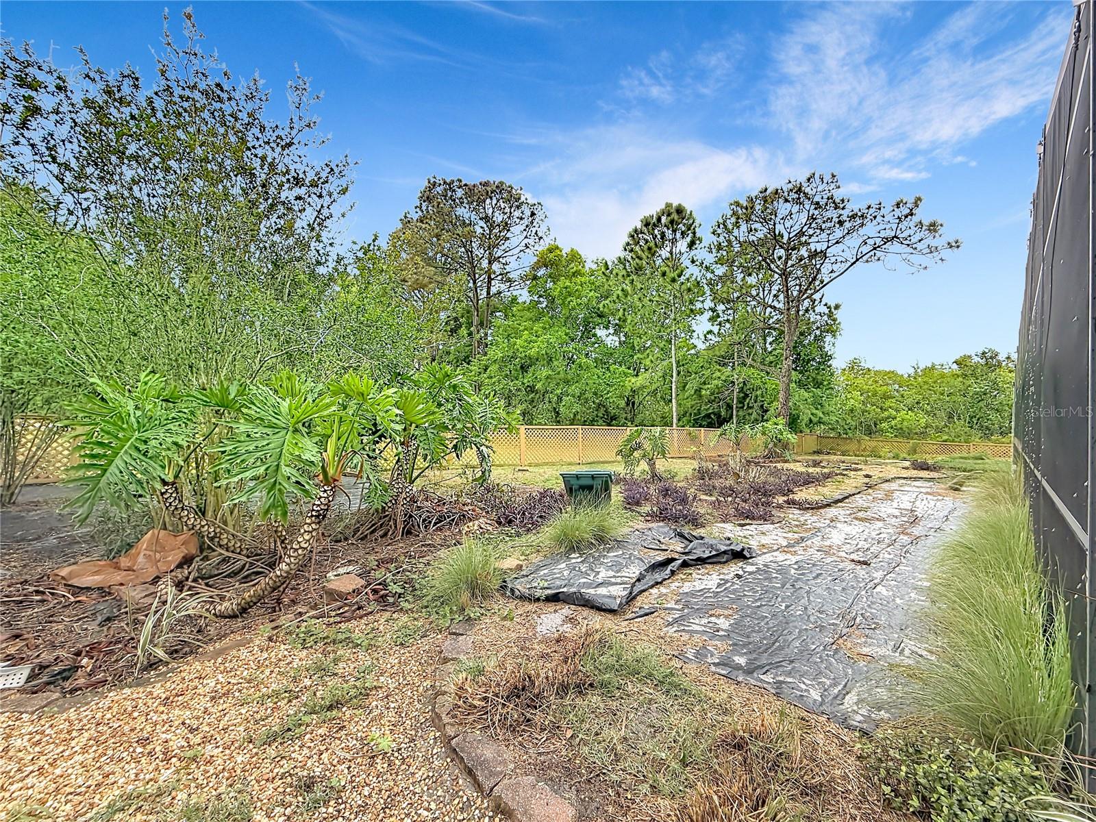 12208 WEDGEFIELD DR, GRAND ISLAND, FL, 32735