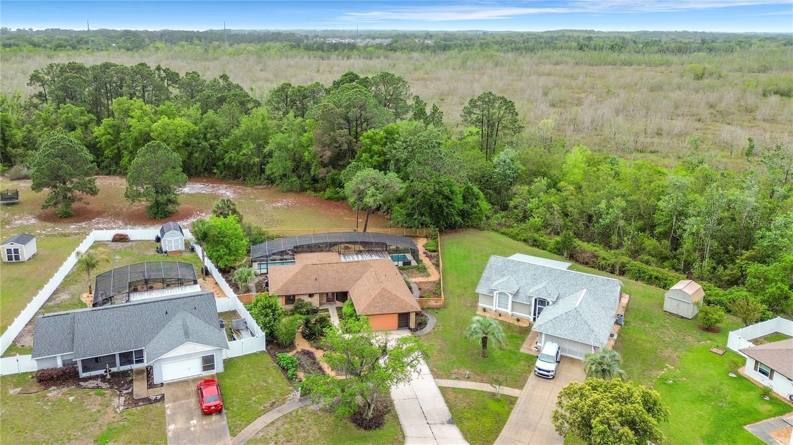 12208 WEDGEFIELD DR, GRAND ISLAND, FL, 32735