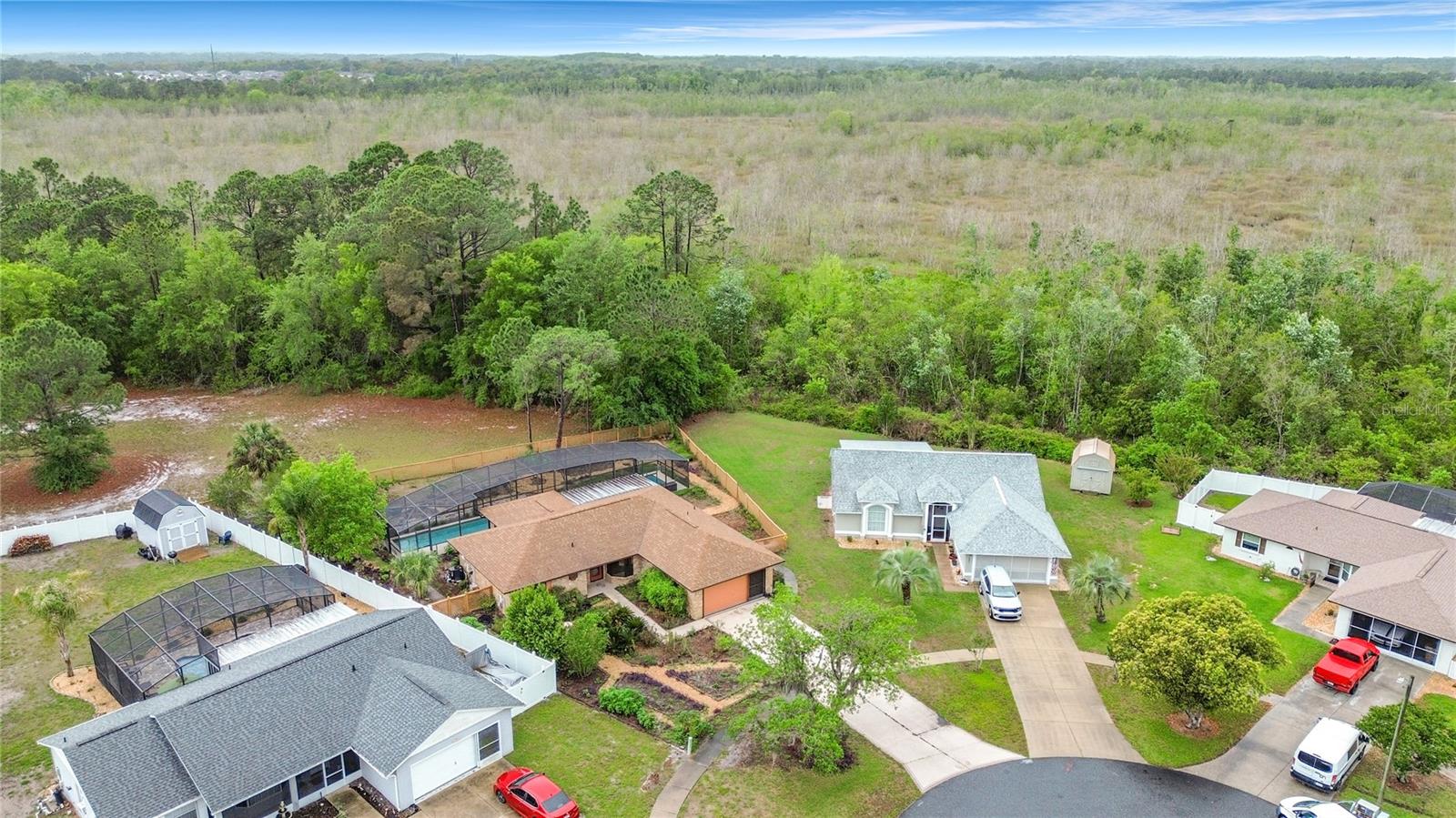 12208 WEDGEFIELD DR, GRAND ISLAND, FL, 32735