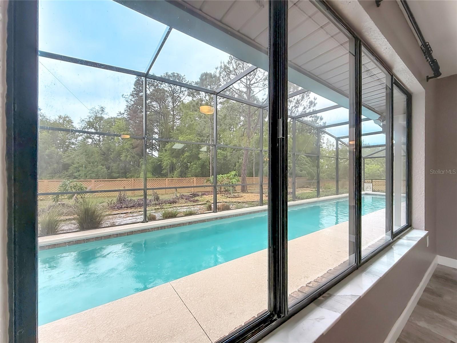 12208 WEDGEFIELD DR, GRAND ISLAND, FL, 32735