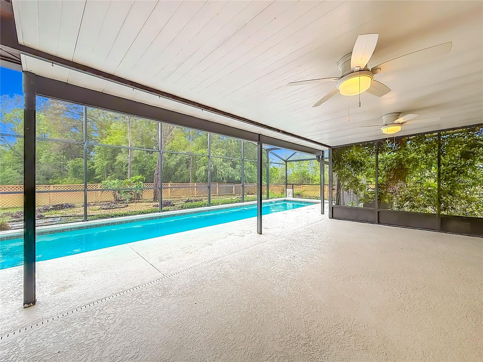 12208 WEDGEFIELD DR, GRAND ISLAND, FL, 32735