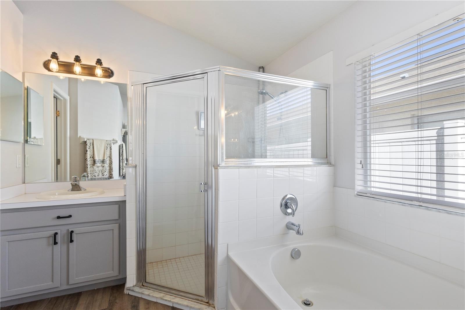 3204 PRAIRIE IRIS DR, LAND O LAKES, FL, 34638