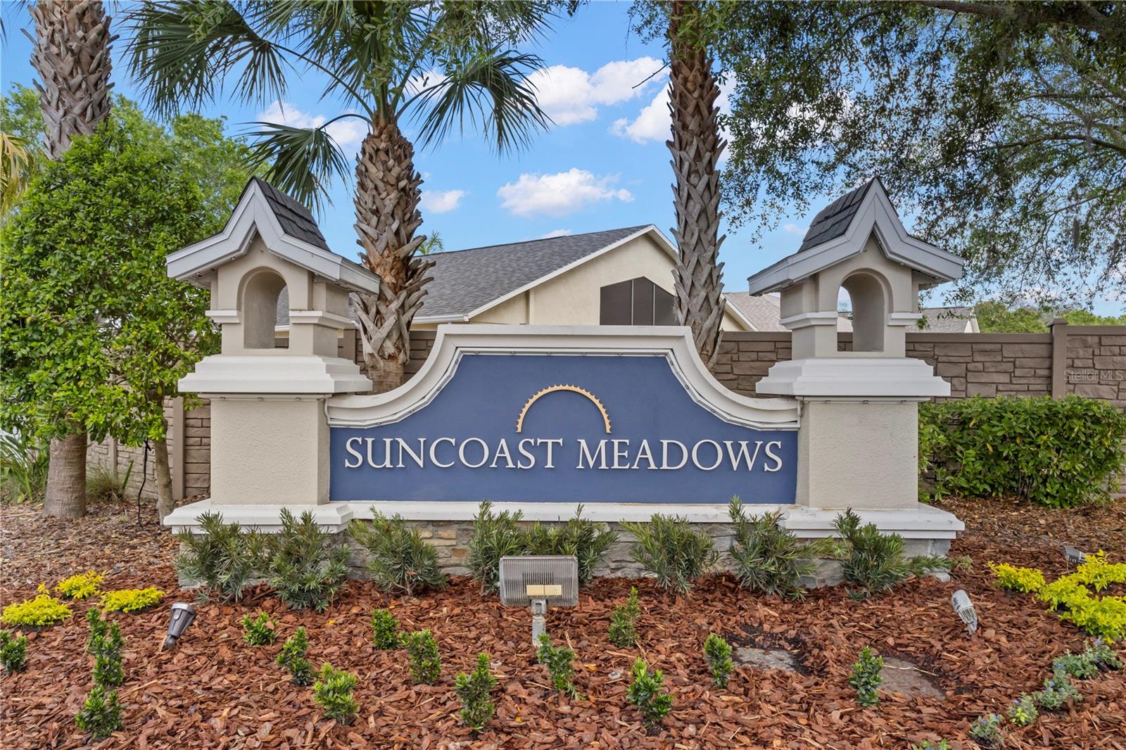 3204 PRAIRIE IRIS DR, LAND O LAKES, FL, 34638