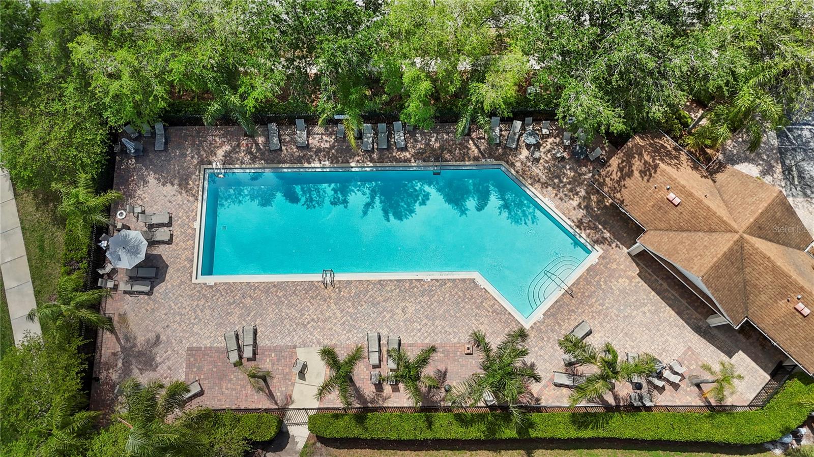 3204 PRAIRIE IRIS DR, LAND O LAKES, FL, 34638