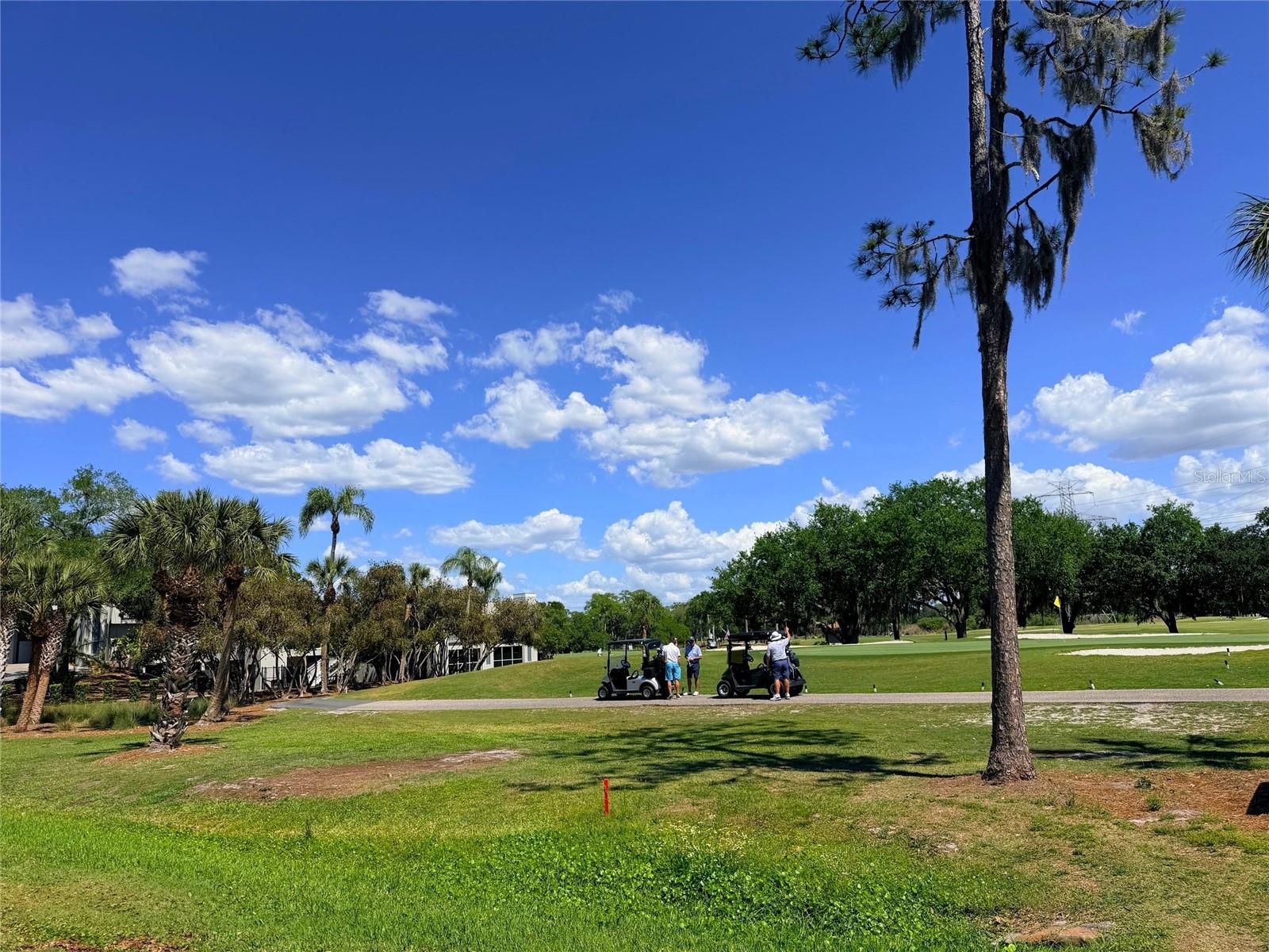 260 WOODLAKE E ##260, OLDSMAR, FL, 34677