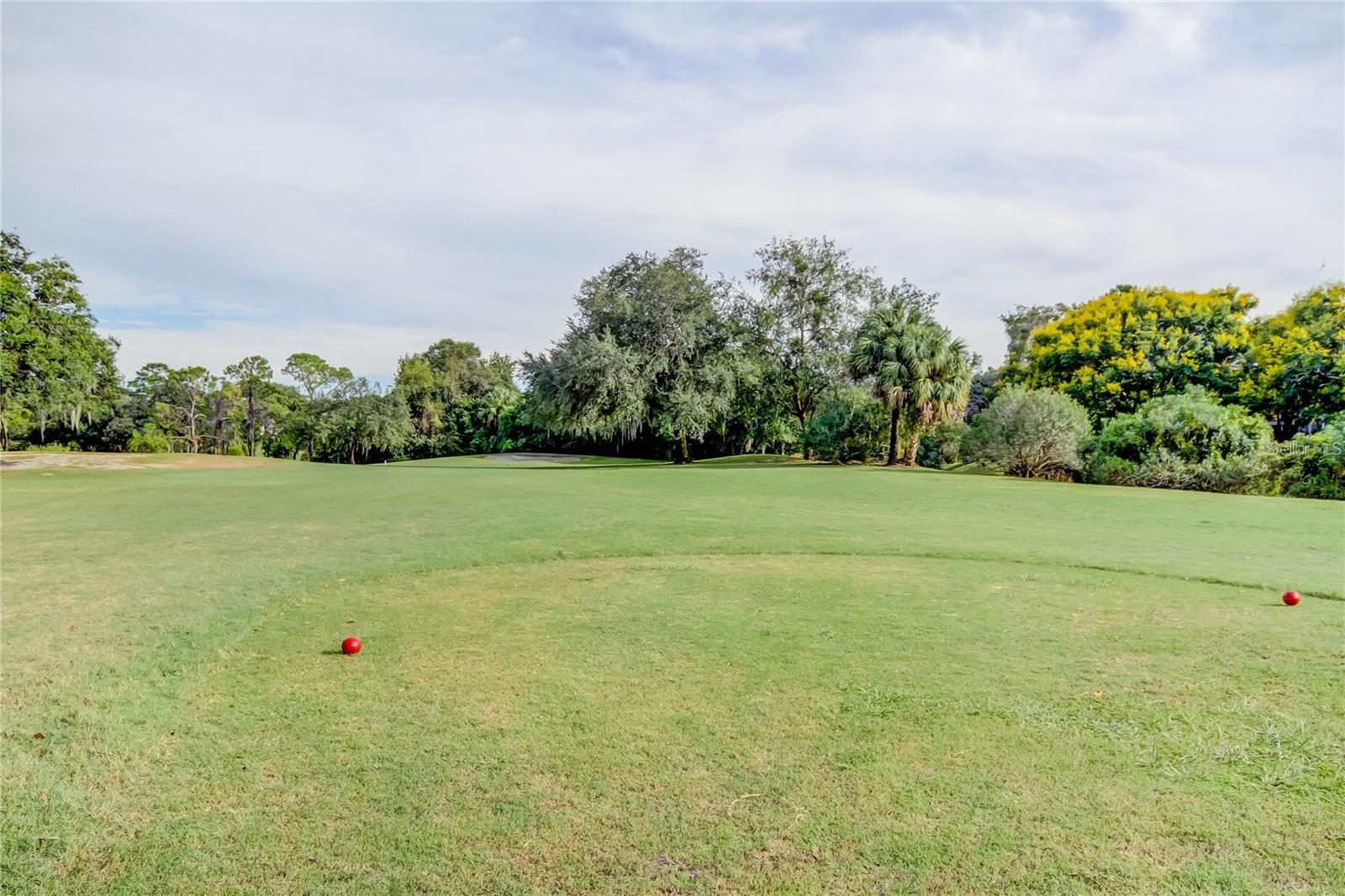 260 WOODLAKE E ##260, OLDSMAR, FL, 34677