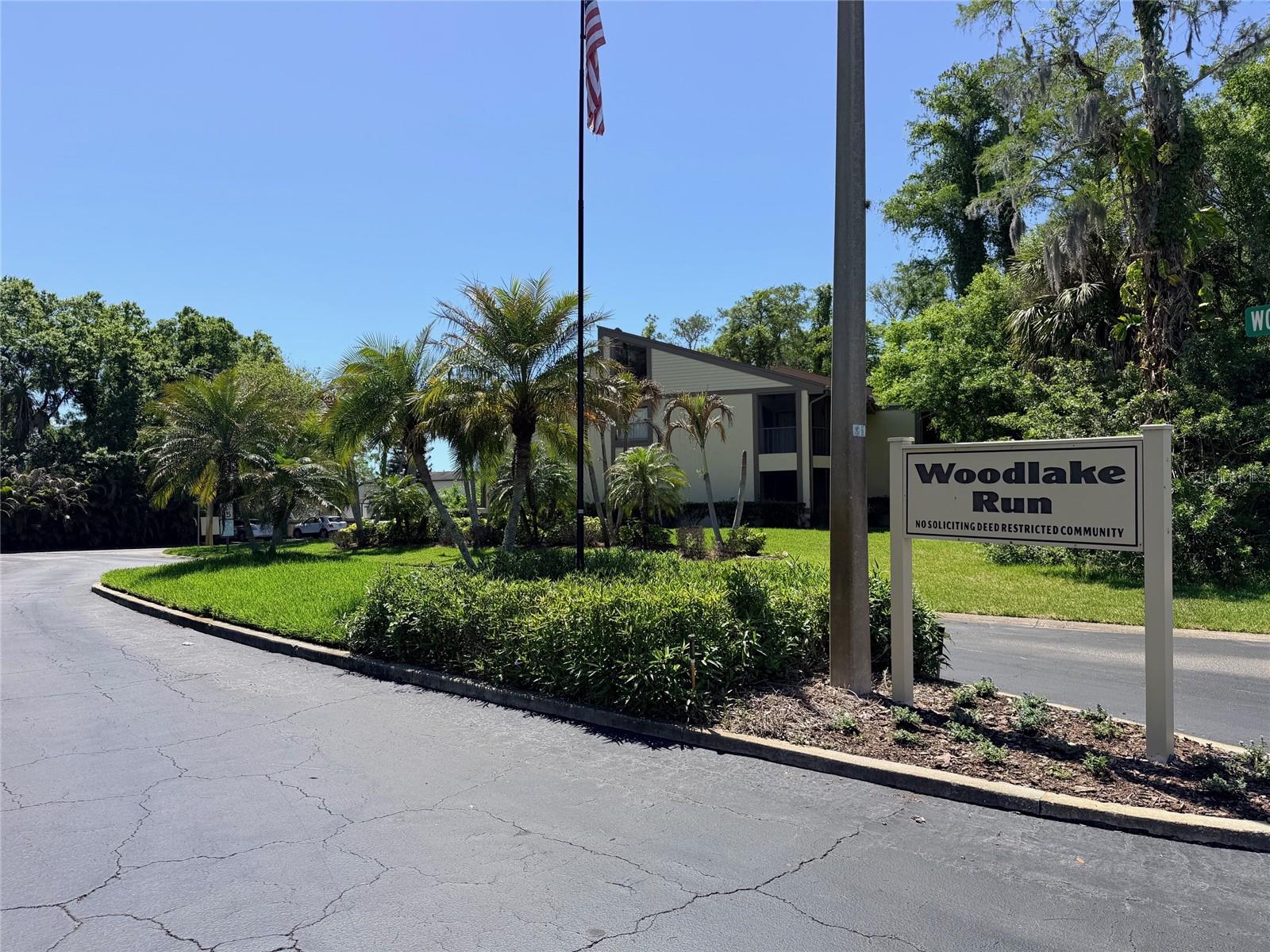 260 WOODLAKE E ##260, OLDSMAR, FL, 34677