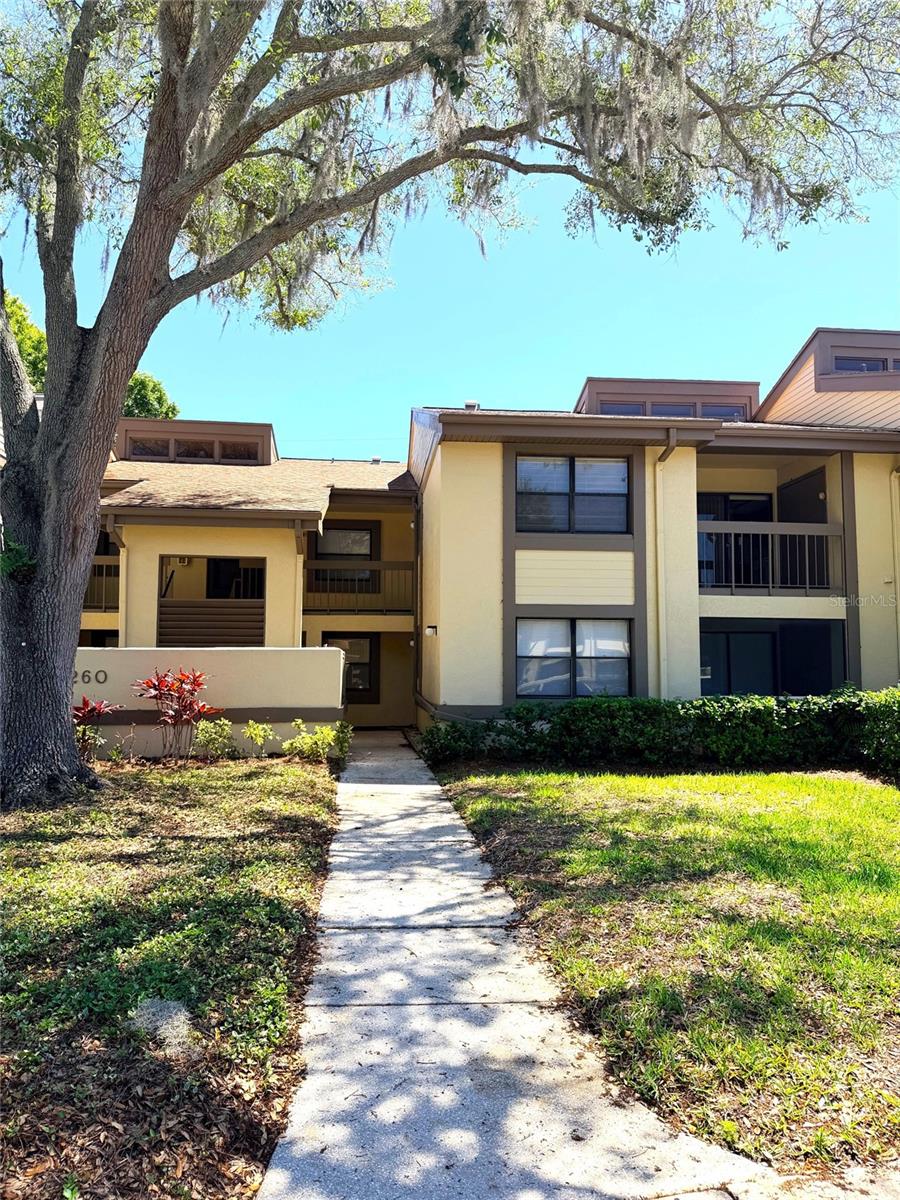 260 WOODLAKE E ##260, OLDSMAR, FL, 34677