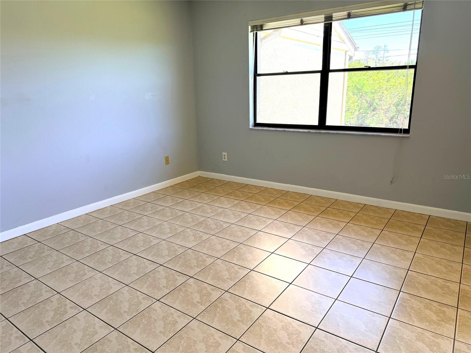 260 WOODLAKE E ##260, OLDSMAR, FL, 34677