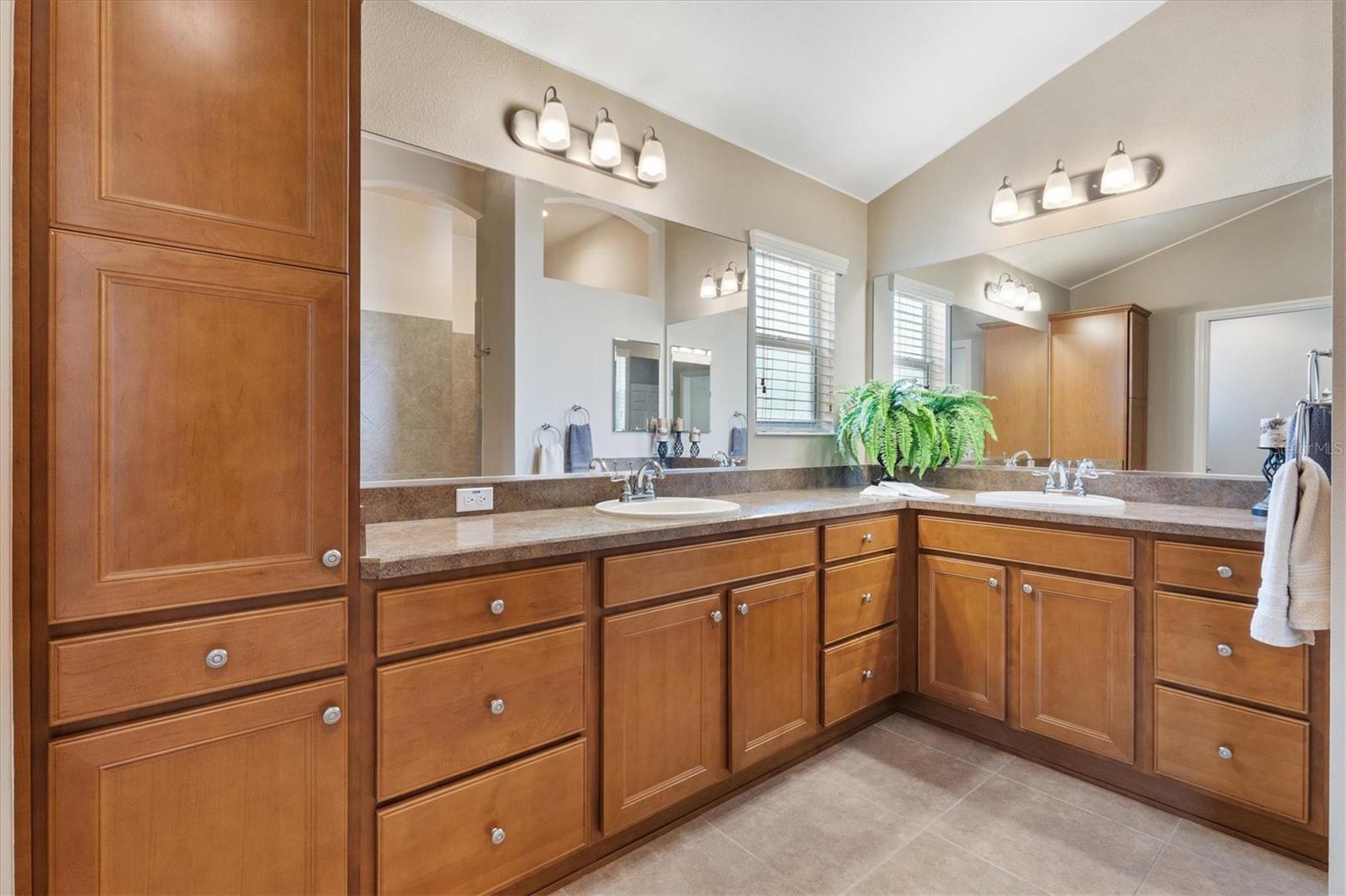 2088 VISION CT, THE VILLAGES, FL, 32163