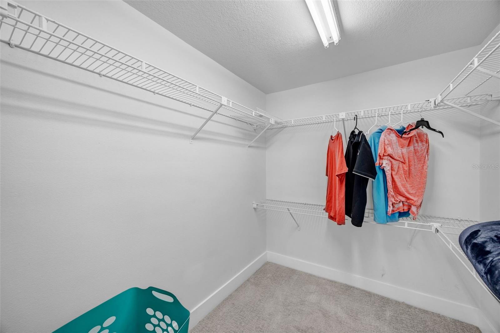 4620 BAY BLVD #1117, PORT RICHEY, FL, 34668