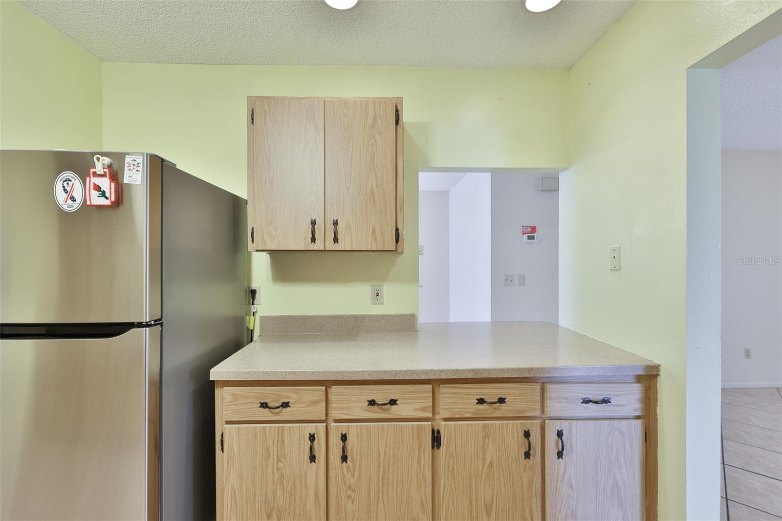 603 LA JOLLA AVE, SUN CITY CENTER, FL, 33573
