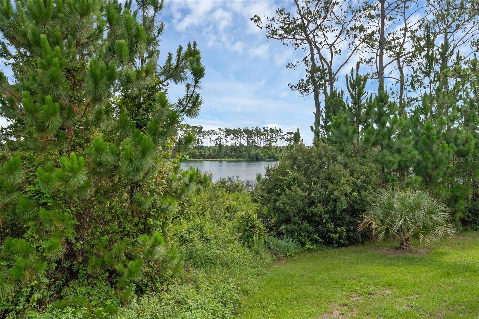 17860 PASSIONFLOWER CIR, CLERMONT, FL, 34714