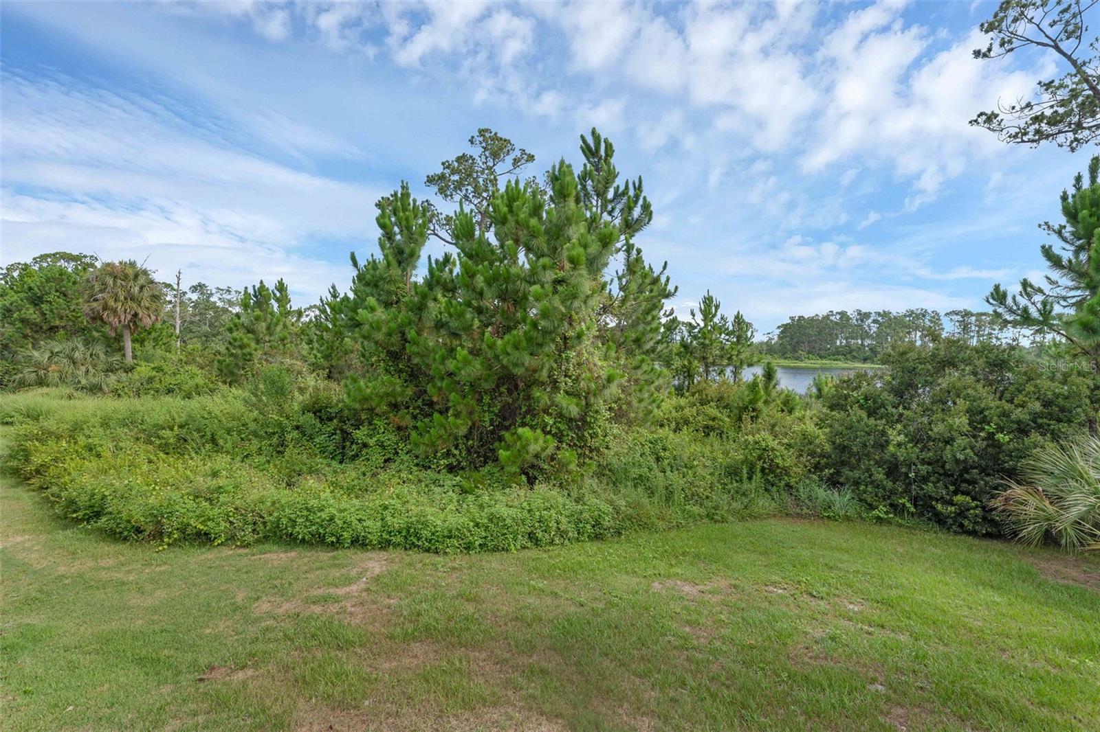 17860 PASSIONFLOWER CIR, CLERMONT, FL, 34714