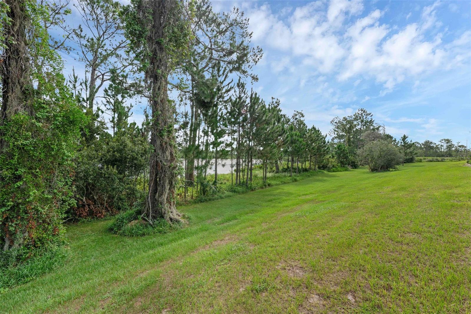 17860 PASSIONFLOWER CIR, CLERMONT, FL, 34714