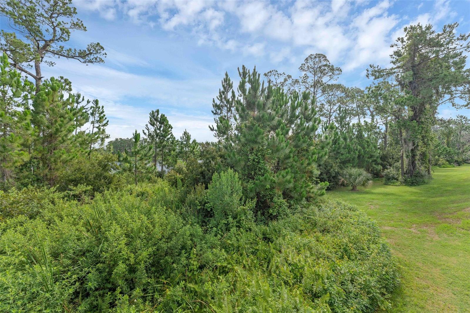 17860 PASSIONFLOWER CIR, CLERMONT, FL, 34714