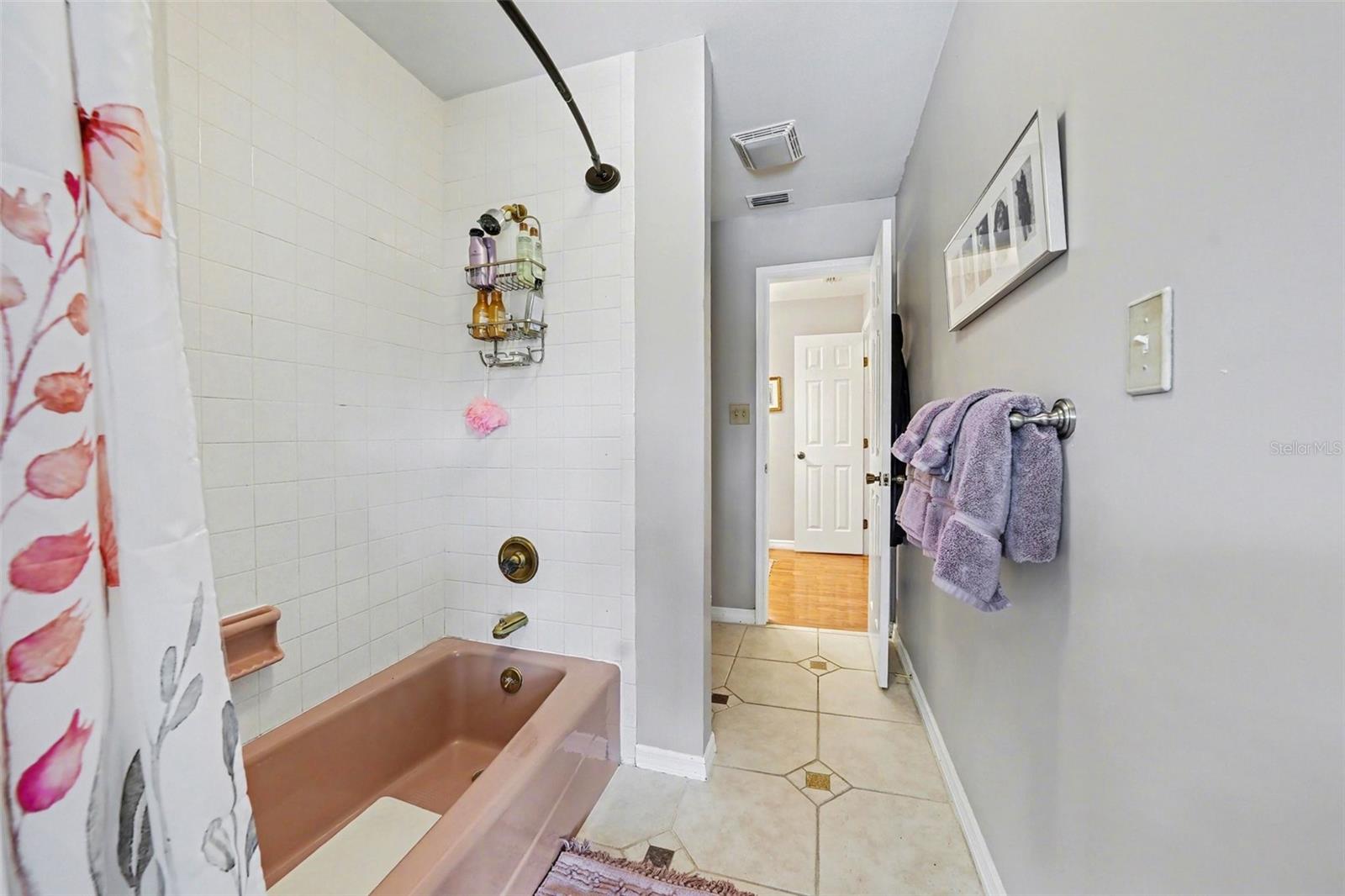 1009 MORFIELD LN, BRANDON, FL, 33511