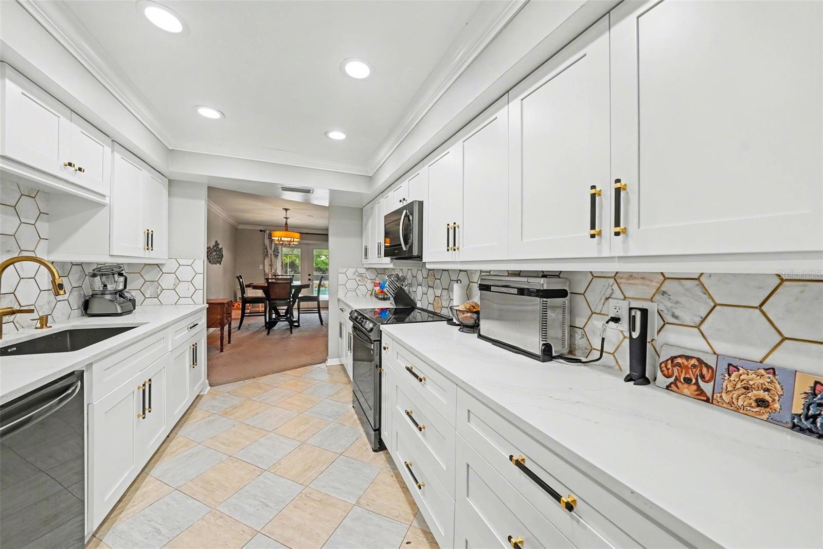 1009 MORFIELD LN, BRANDON, FL, 33511