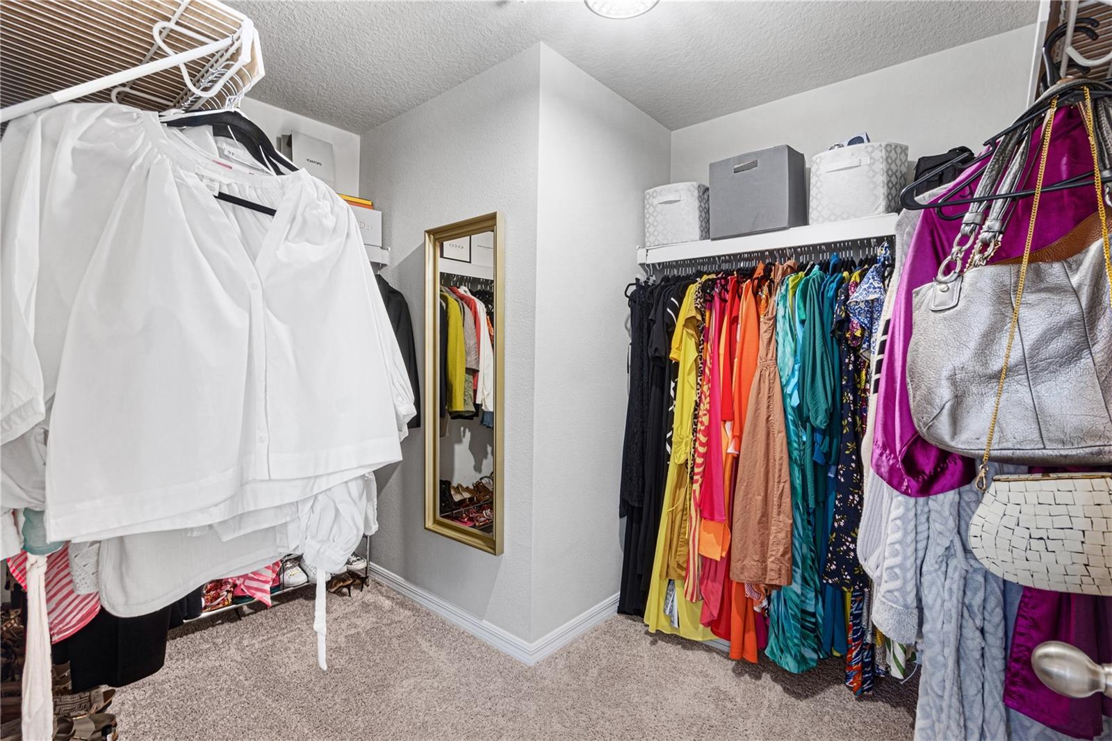 951 ROBIN HOLLY ST, OCOEE, FL, 34761