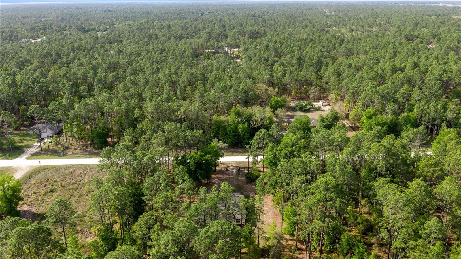 13131 SW 73RD ST, OCALA, FL, 34481