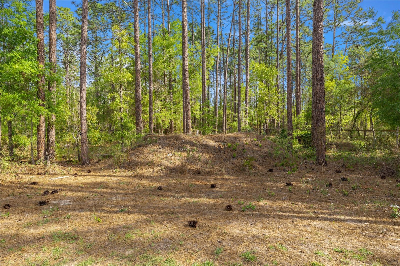 13131 SW 73RD ST, OCALA, FL, 34481