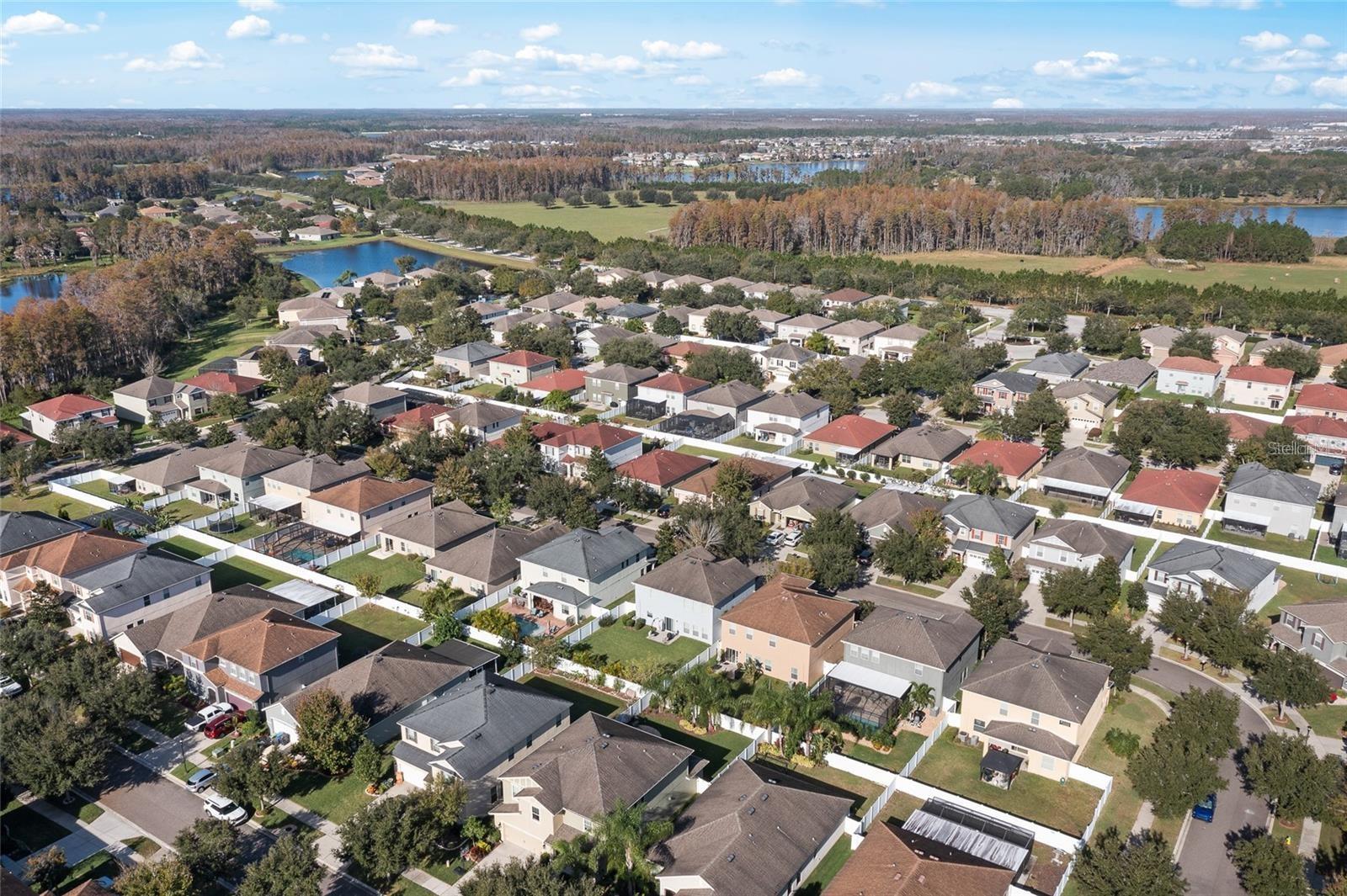 2907 WINGLEWOOD CIR, LUTZ, FL, 33558