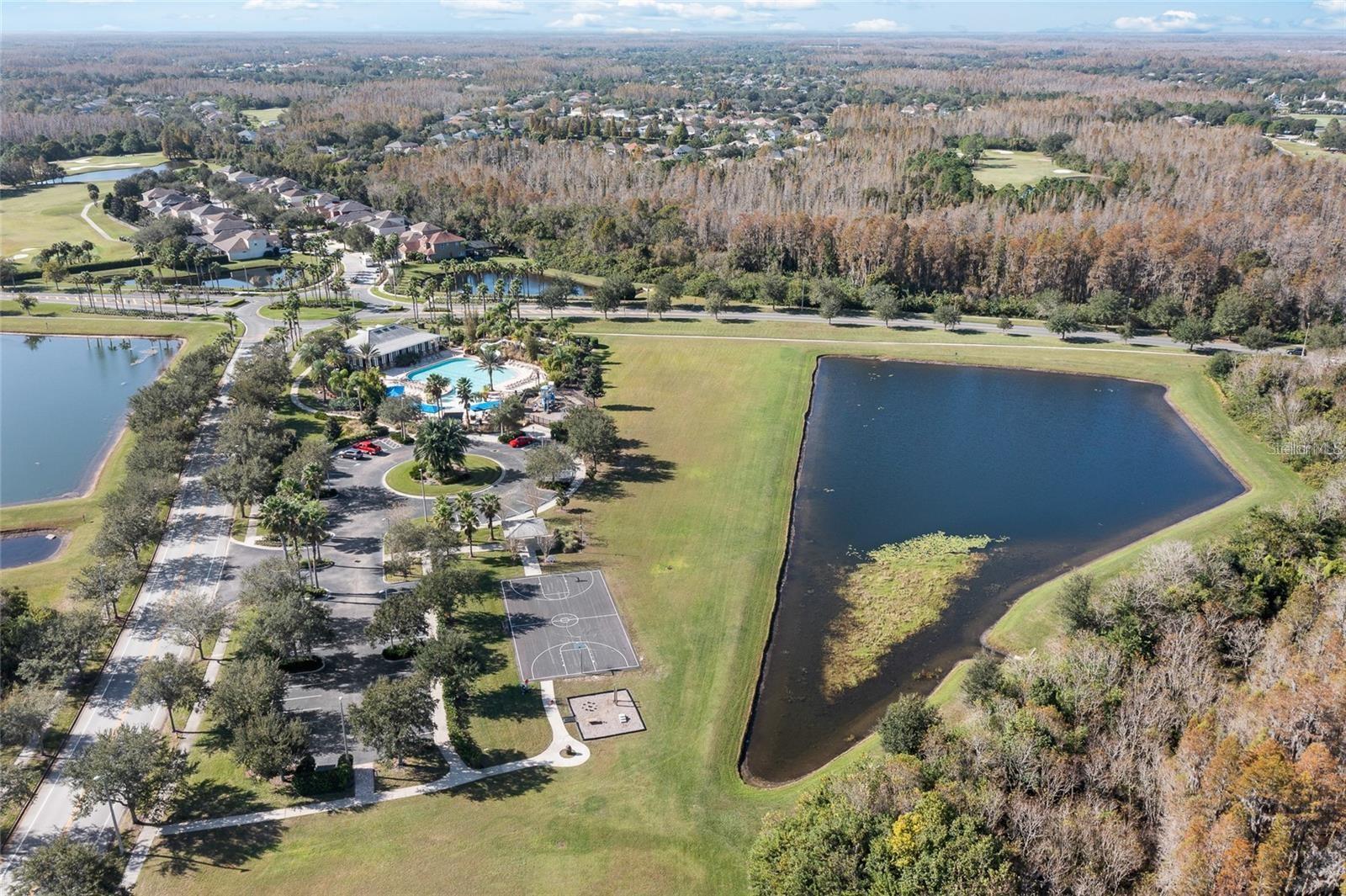2907 WINGLEWOOD CIR, LUTZ, FL, 33558