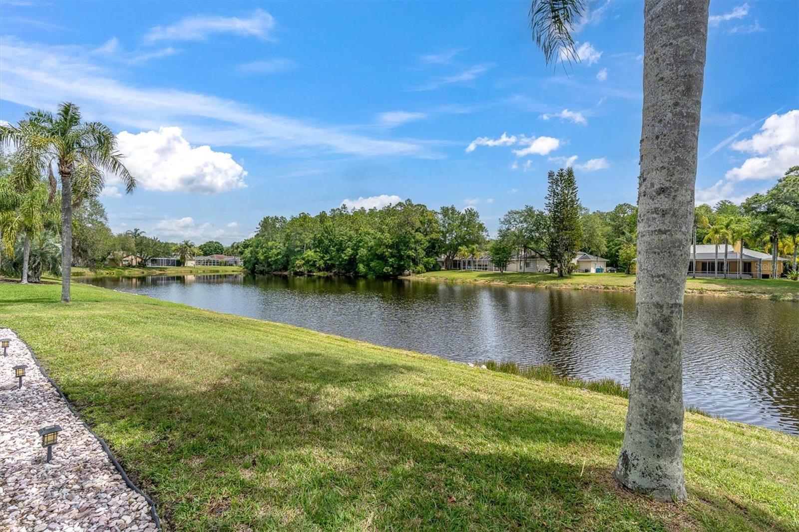 2487 SADDLEWOOD LN, PALM HARBOR, FL, 34685