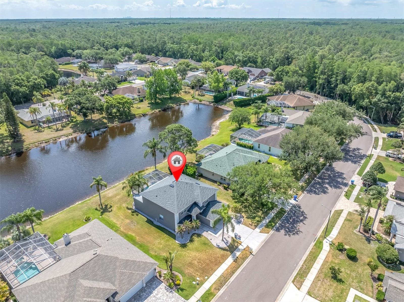 2487 SADDLEWOOD LN, PALM HARBOR, FL, 34685