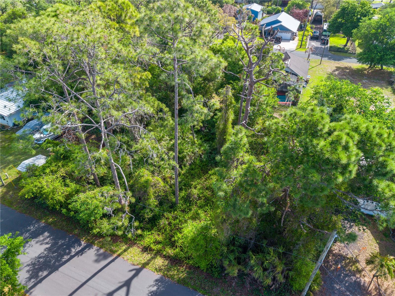 BURTON DR, ST CLOUD, FL, 34771
