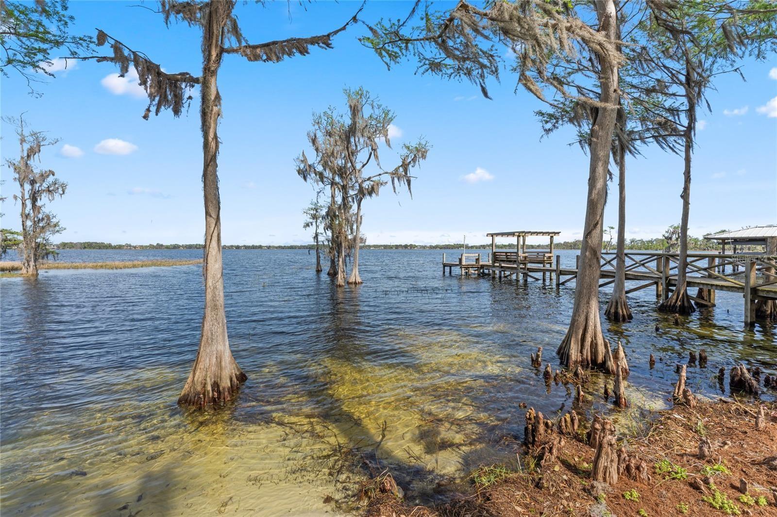 10400 LAKE COTTAGE LN, ORLANDO, FL, 32836