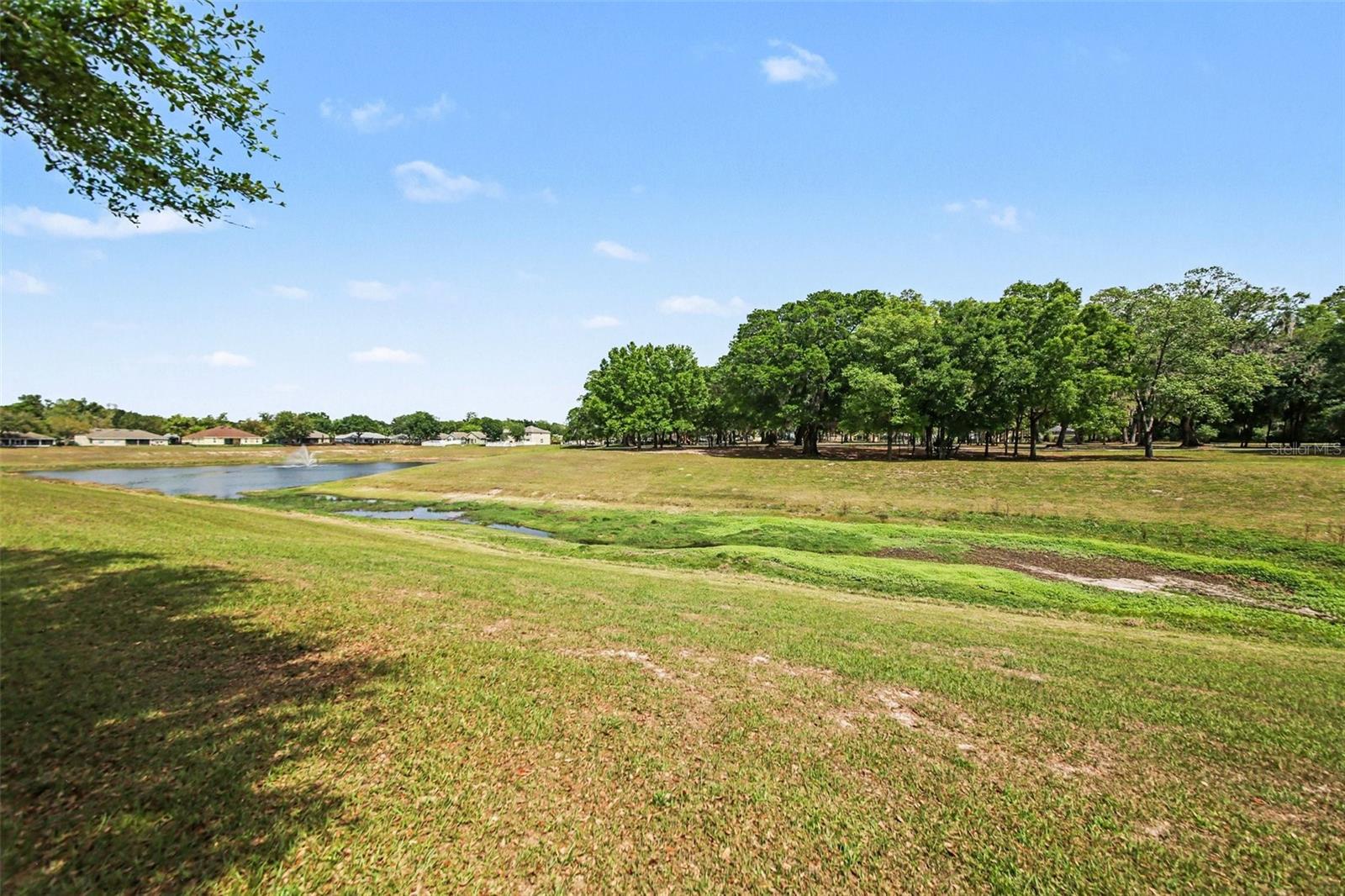 1517 CLAPTON DR, DELAND, FL, 32720