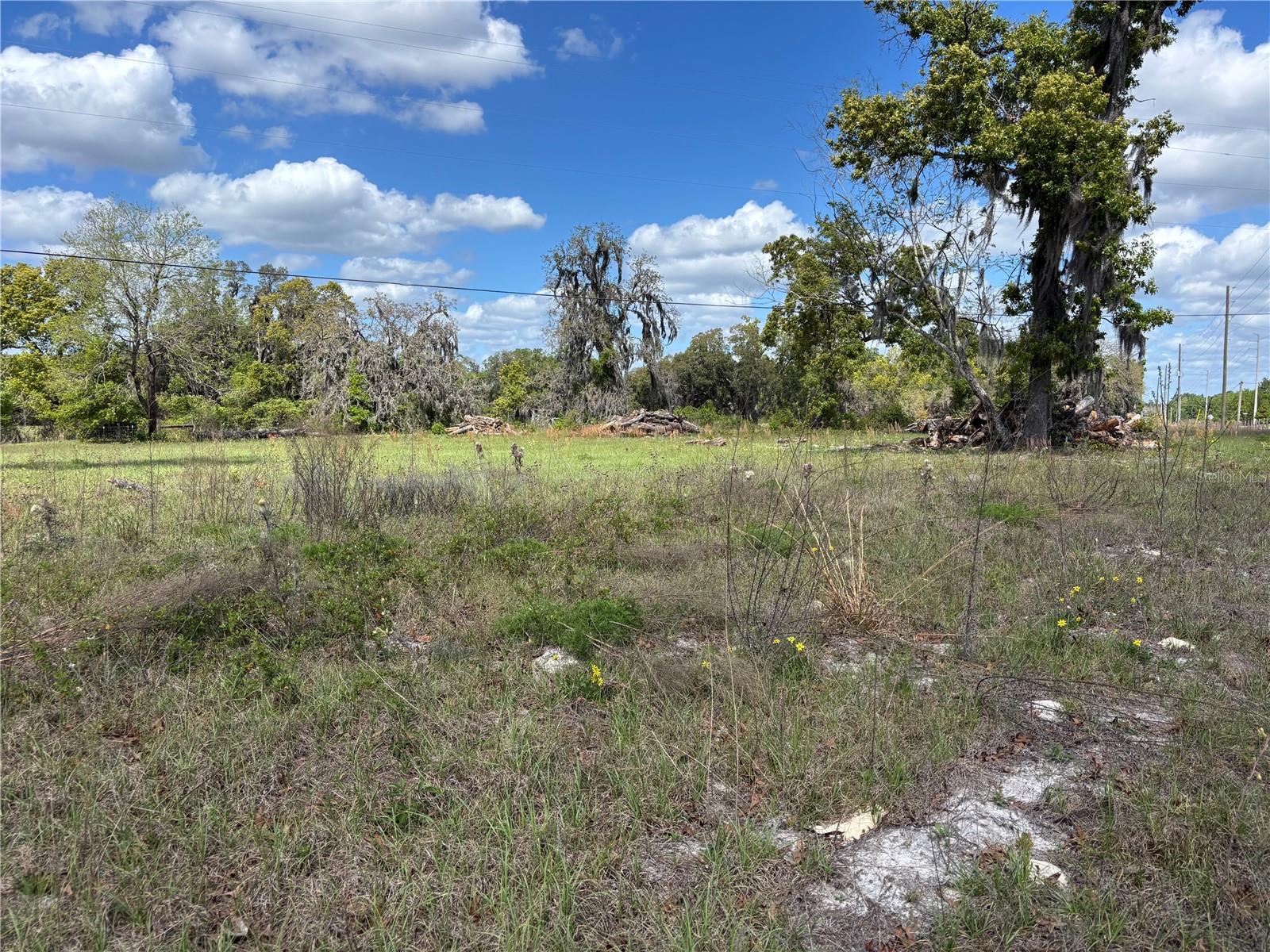 SE 8TH AVE, MELROSE, FL, 32666