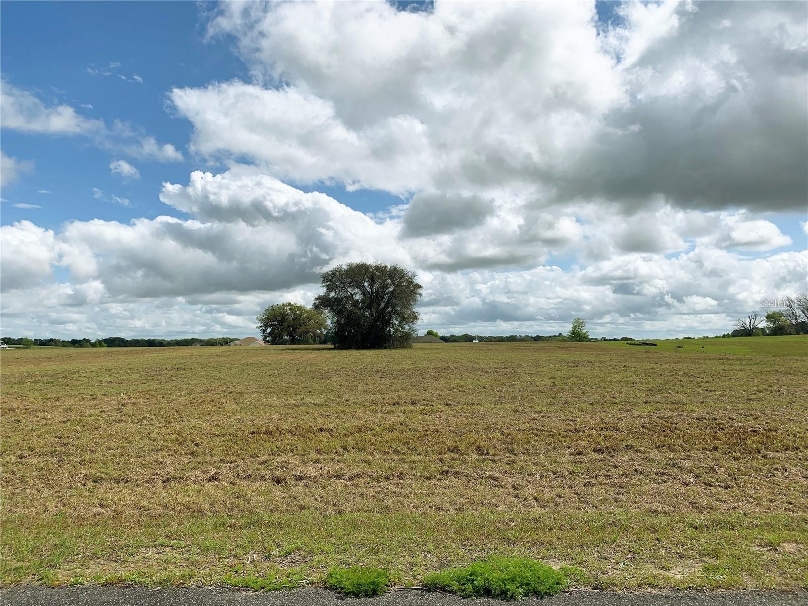 21635 SW 10TH ST, DUNNELLON, FL, 34431