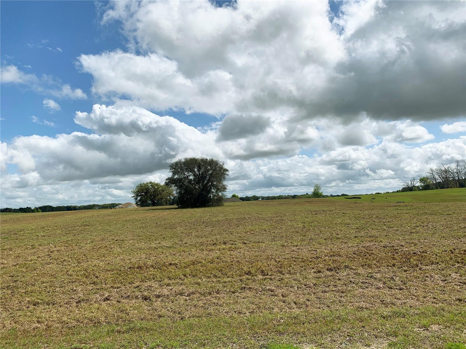 21635 SW 10TH ST, DUNNELLON, FL, 34431