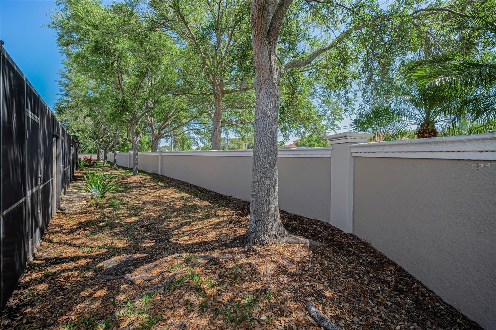 1411 TESSANO PL, PALM HARBOR, FL, 34683