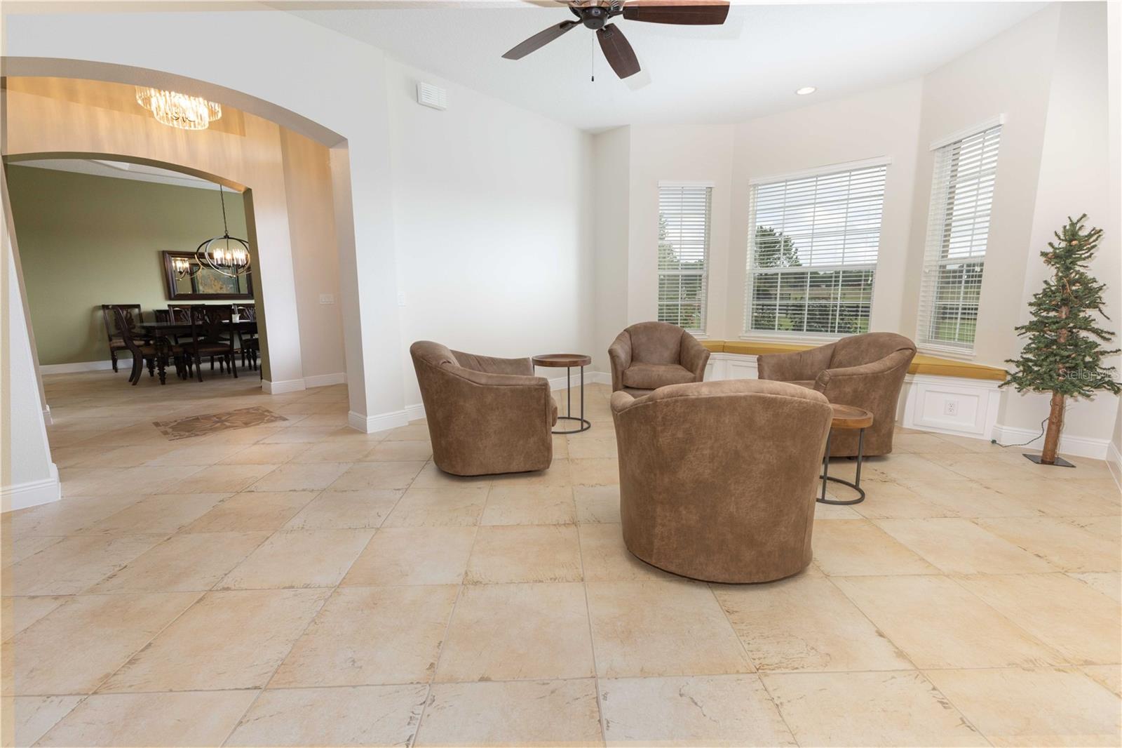 10517 NE 27TH ST, OXFORD, FL, 34484