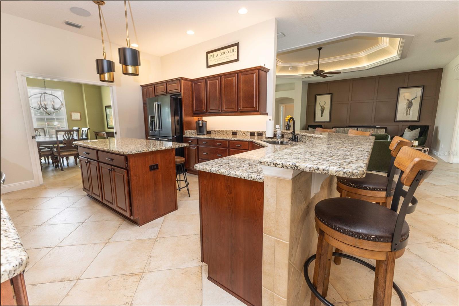 10517 NE 27TH ST, OXFORD, FL, 34484