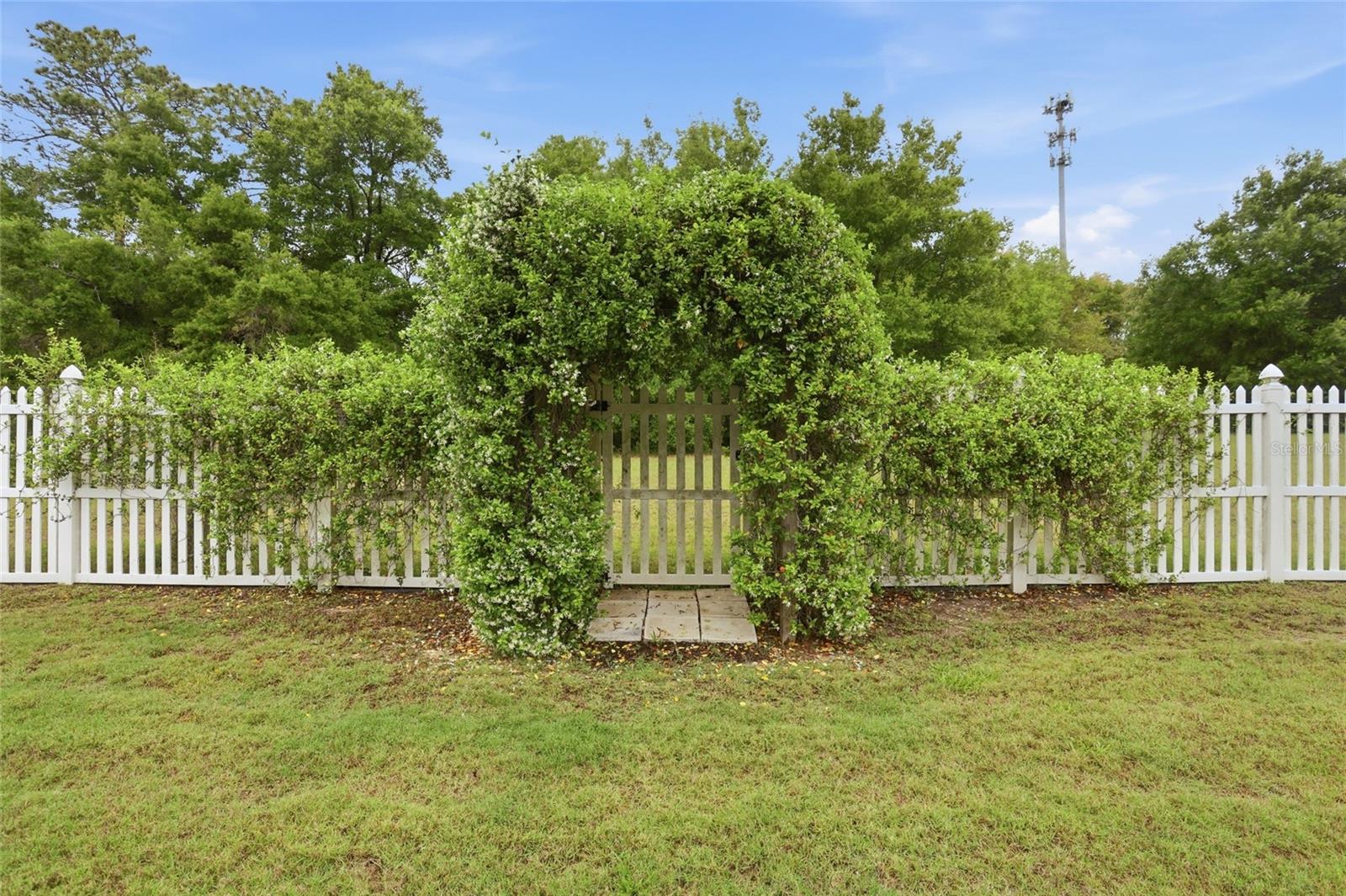877 HARING LANE, MOUNT DORA, FL, 32757